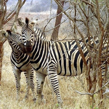 Ndlovu Log Home Dinokeng Klipdrift ภายนอก รูปภาพ