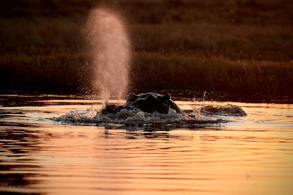 Ndlovu Log Home Dinokeng Klipdrift ภายนอก รูปภาพ